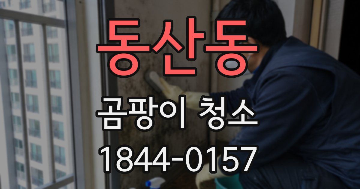 동산동 곰팡이 청소