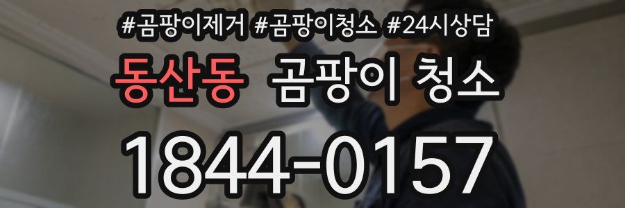 동산동 곰팡이 청소