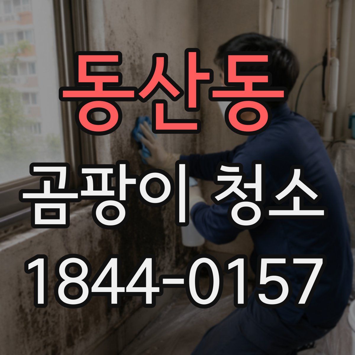 동산동 곰팡이 청소