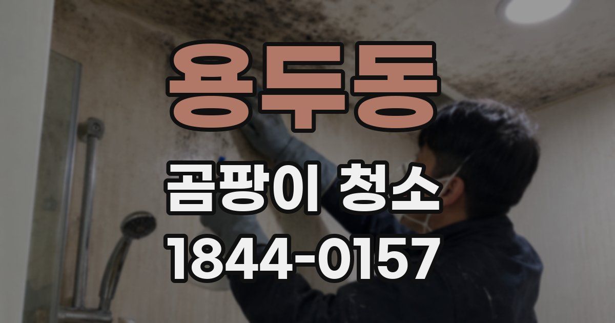 용두동 곰팡이 청소