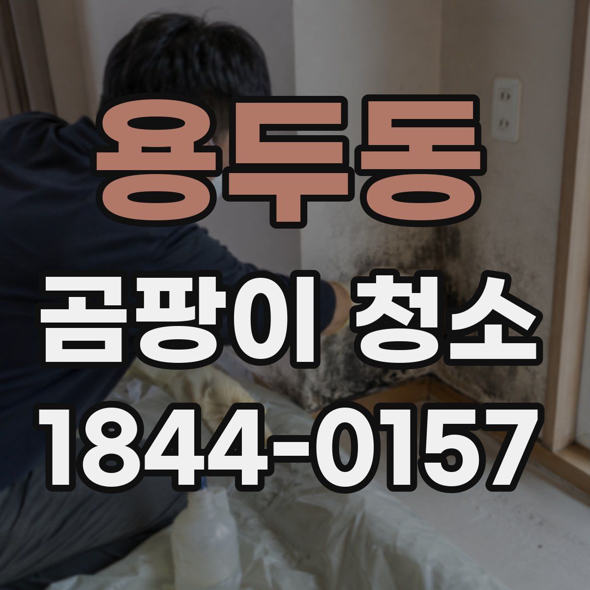용두동 곰팡이 청소