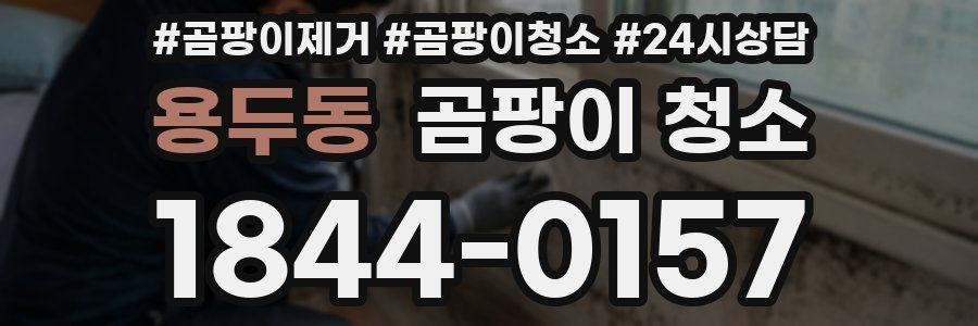 용두동 곰팡이 청소