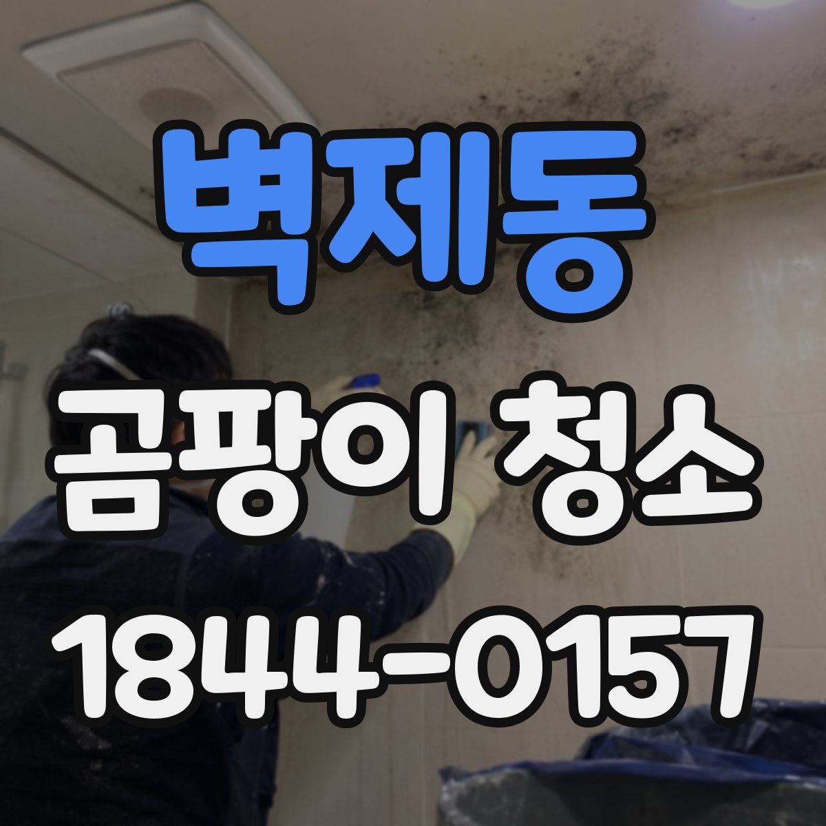 벽제동 곰팡이 청소