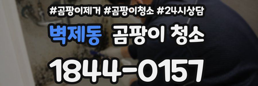 벽제동 곰팡이 청소