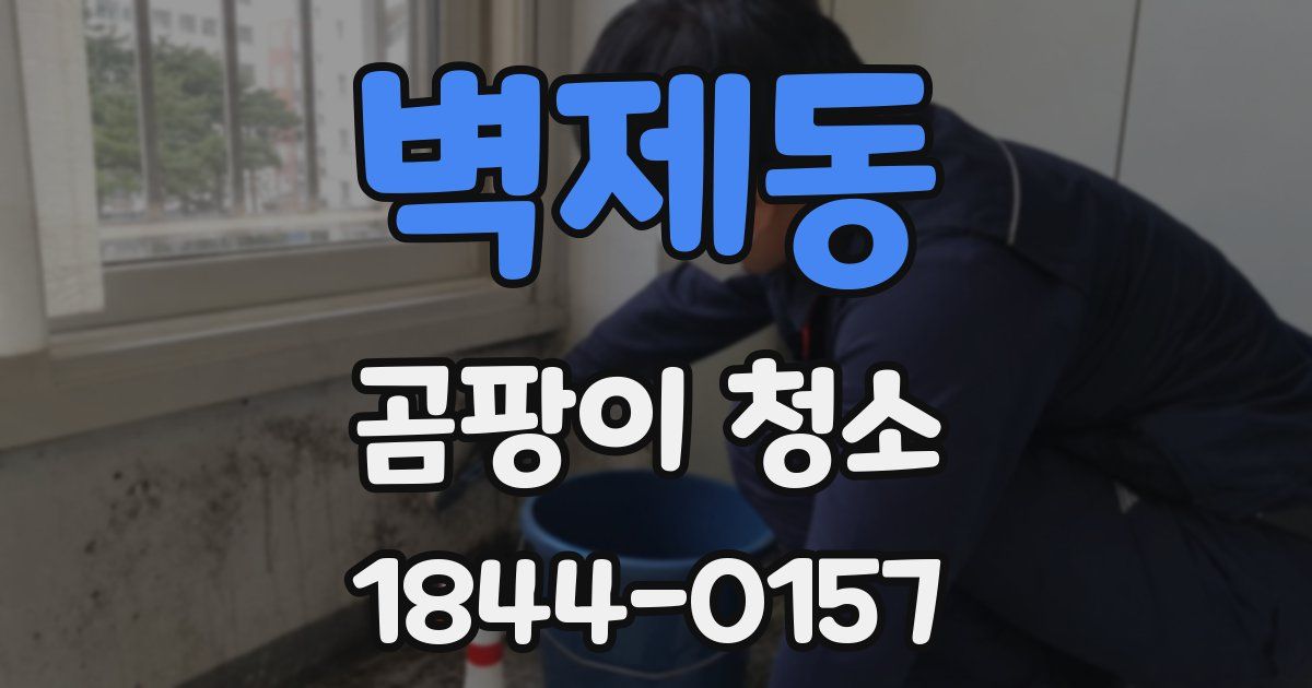 벽제동 곰팡이 청소