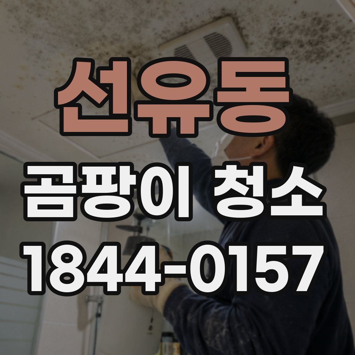 선유동 곰팡이 청소 약품 선택 시 벽지와 목재를 함께 보는 기준