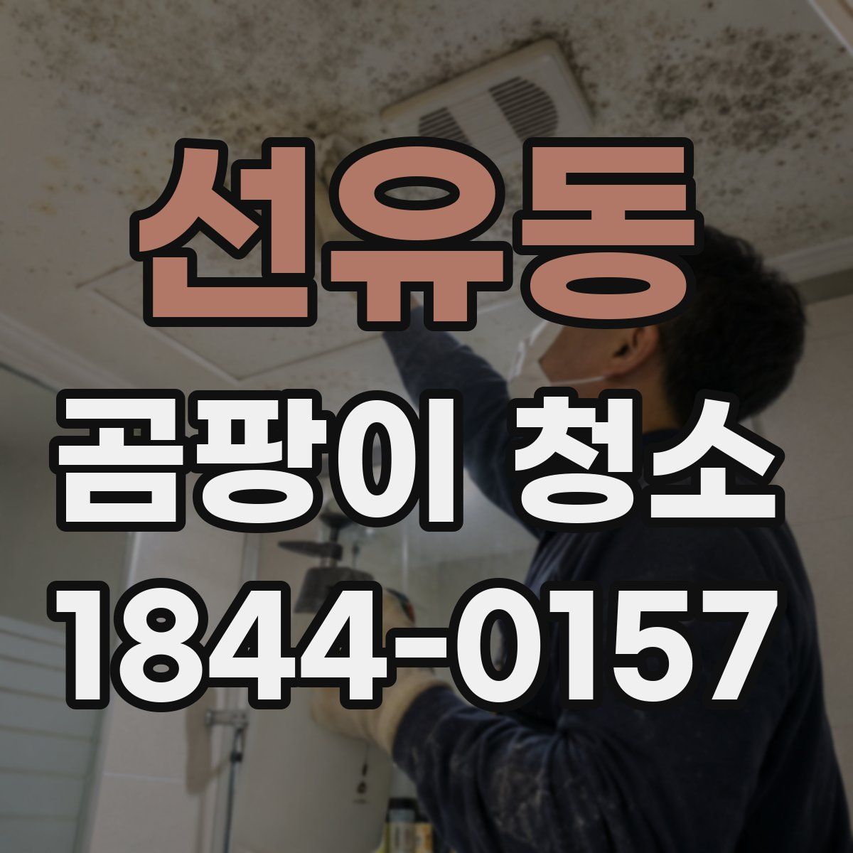선유동 곰팡이 청소