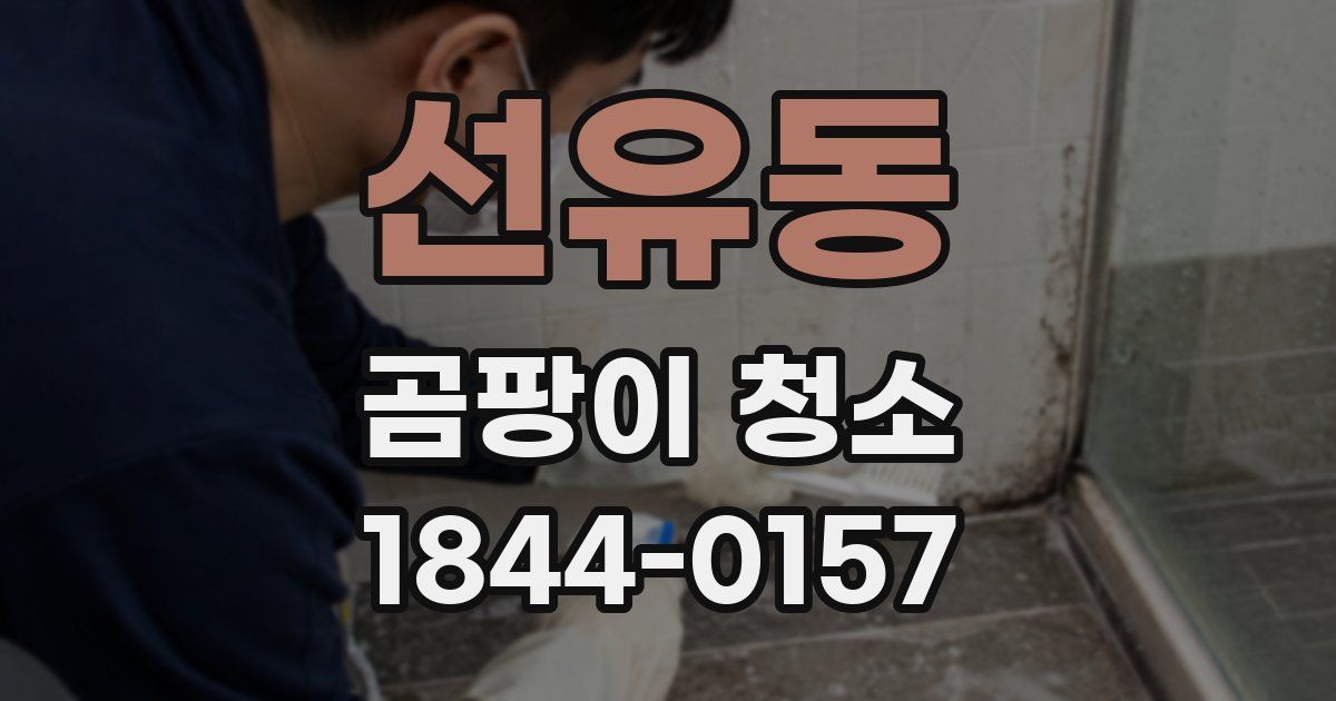 선유동 곰팡이 청소