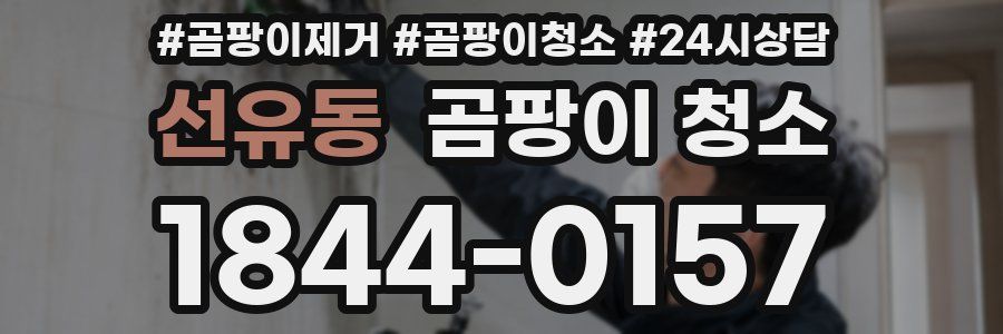 선유동 곰팡이 청소
