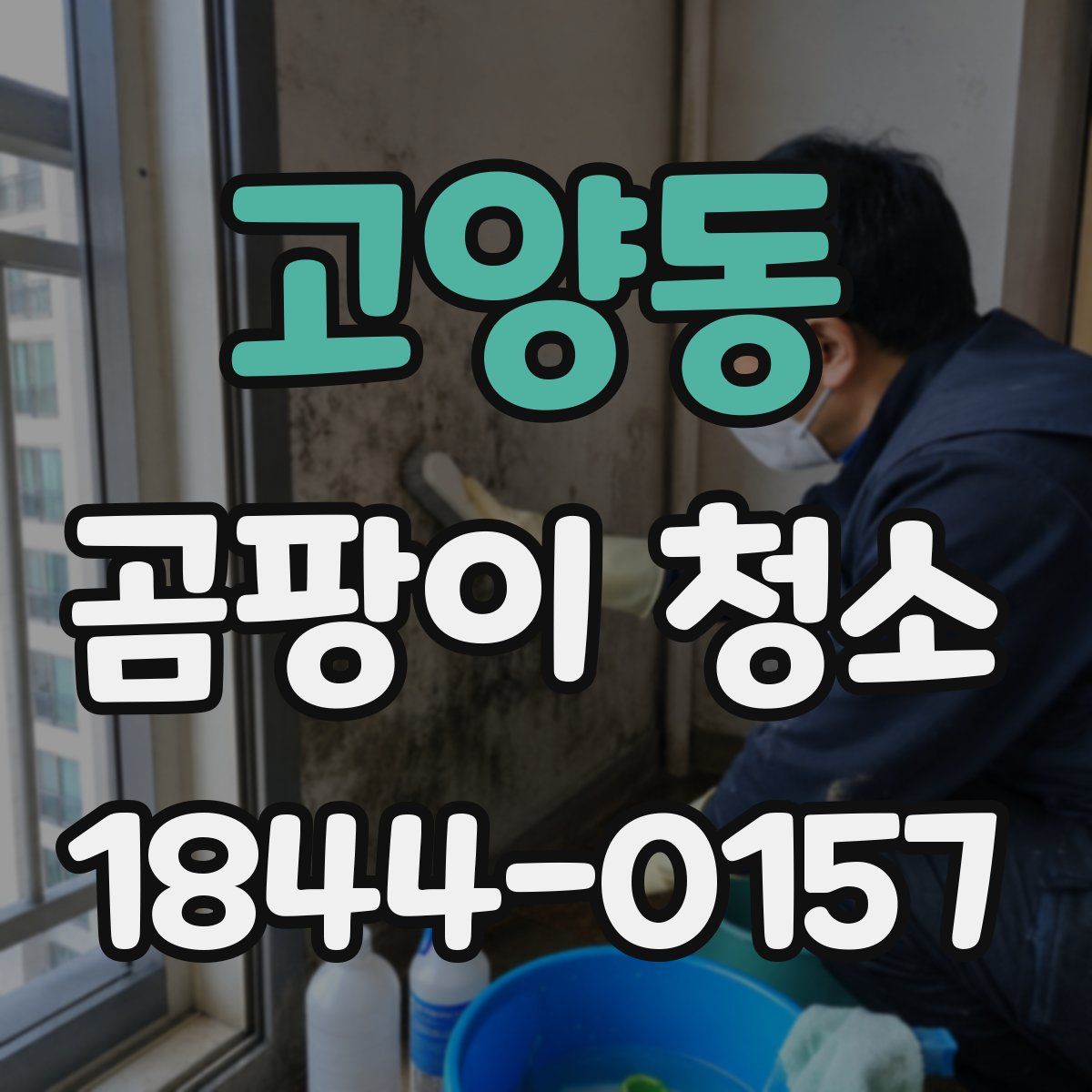 고양동 곰팡이 청소
