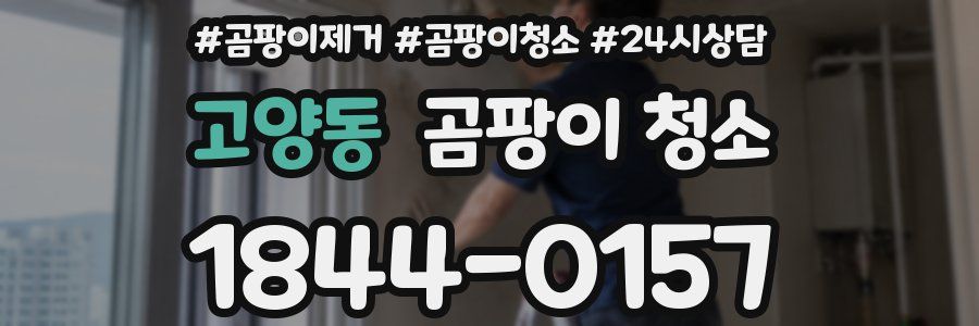 고양동 곰팡이 청소
