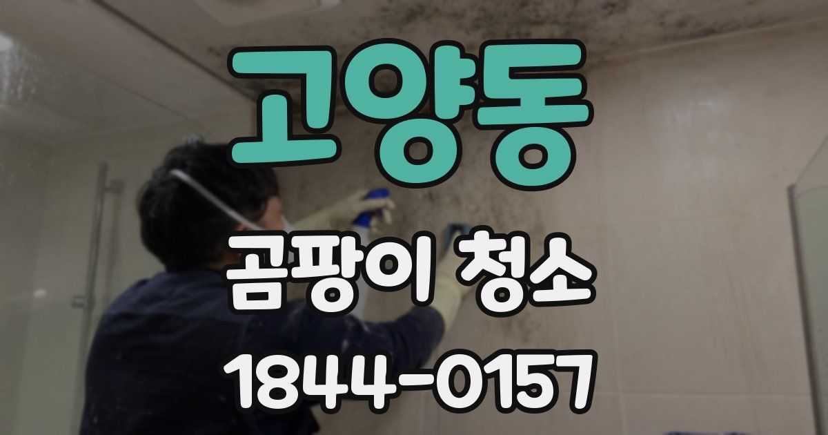 고양동 곰팡이 청소