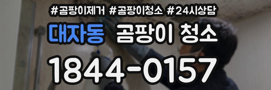 대자동 곰팡이 청소