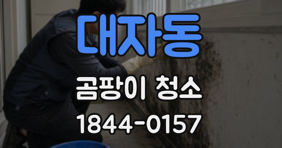 대자동 곰팡이 청소