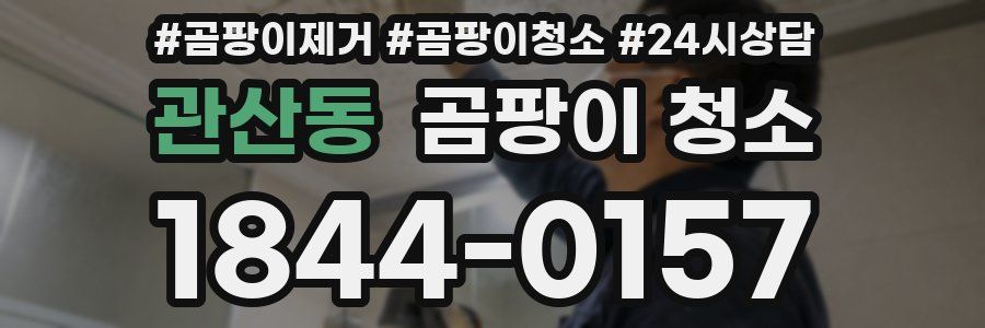 관산동 곰팡이 청소