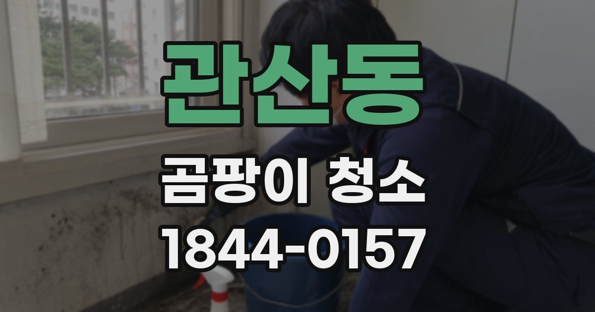 관산동 곰팡이 청소