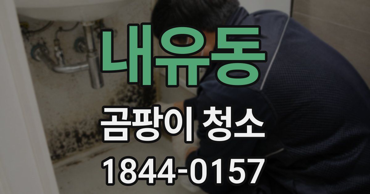 내유동 곰팡이 청소