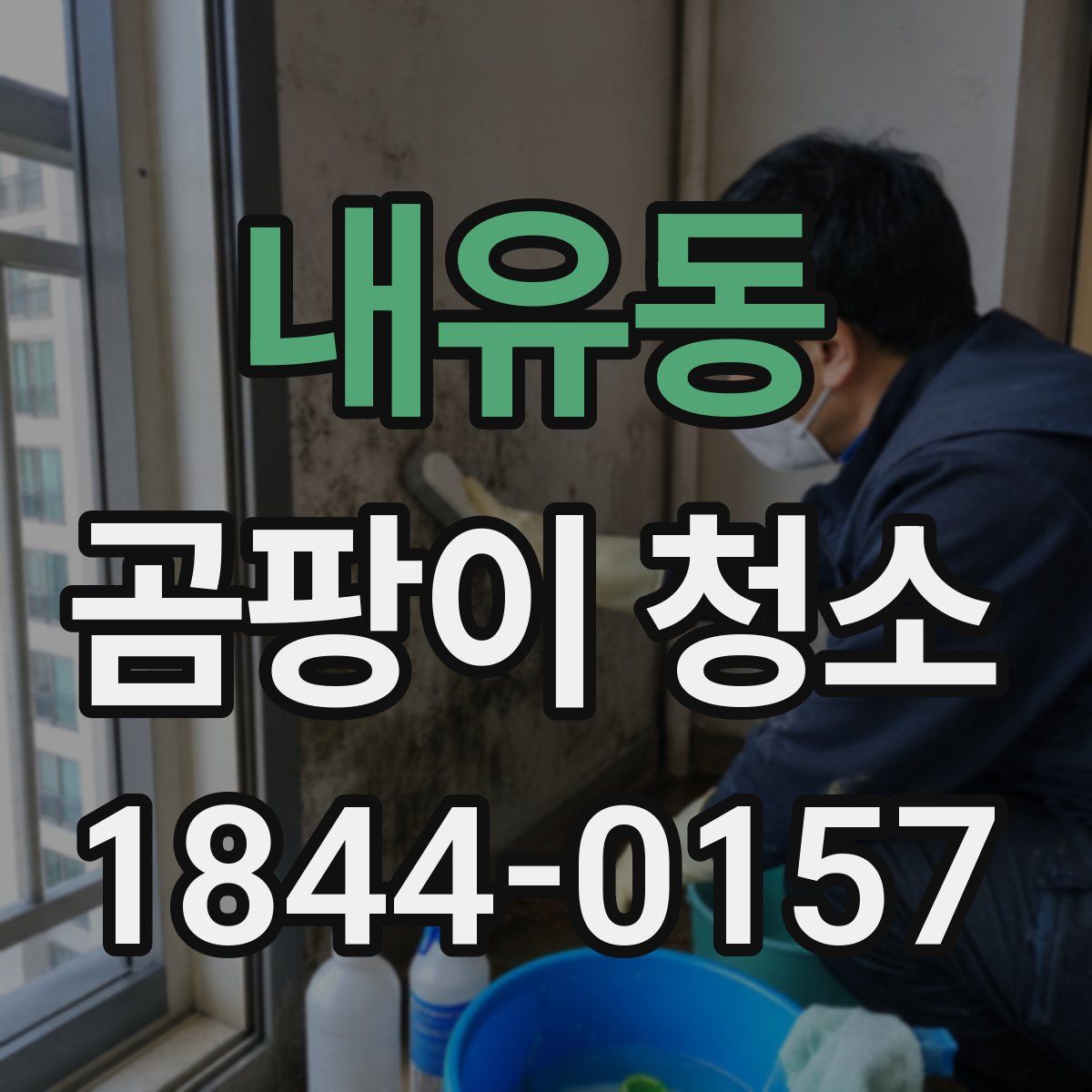 내유동 곰팡이 청소