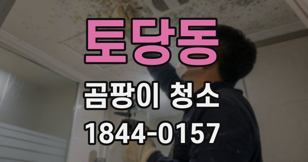 토당동 곰팡이 청소