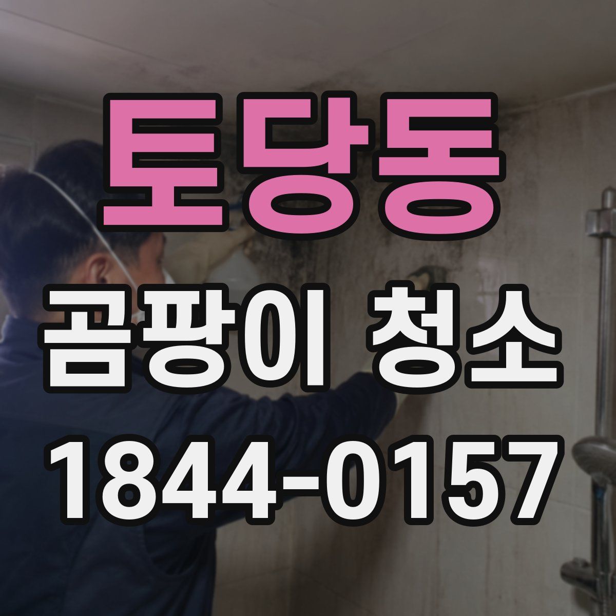 토당동 곰팡이 청소