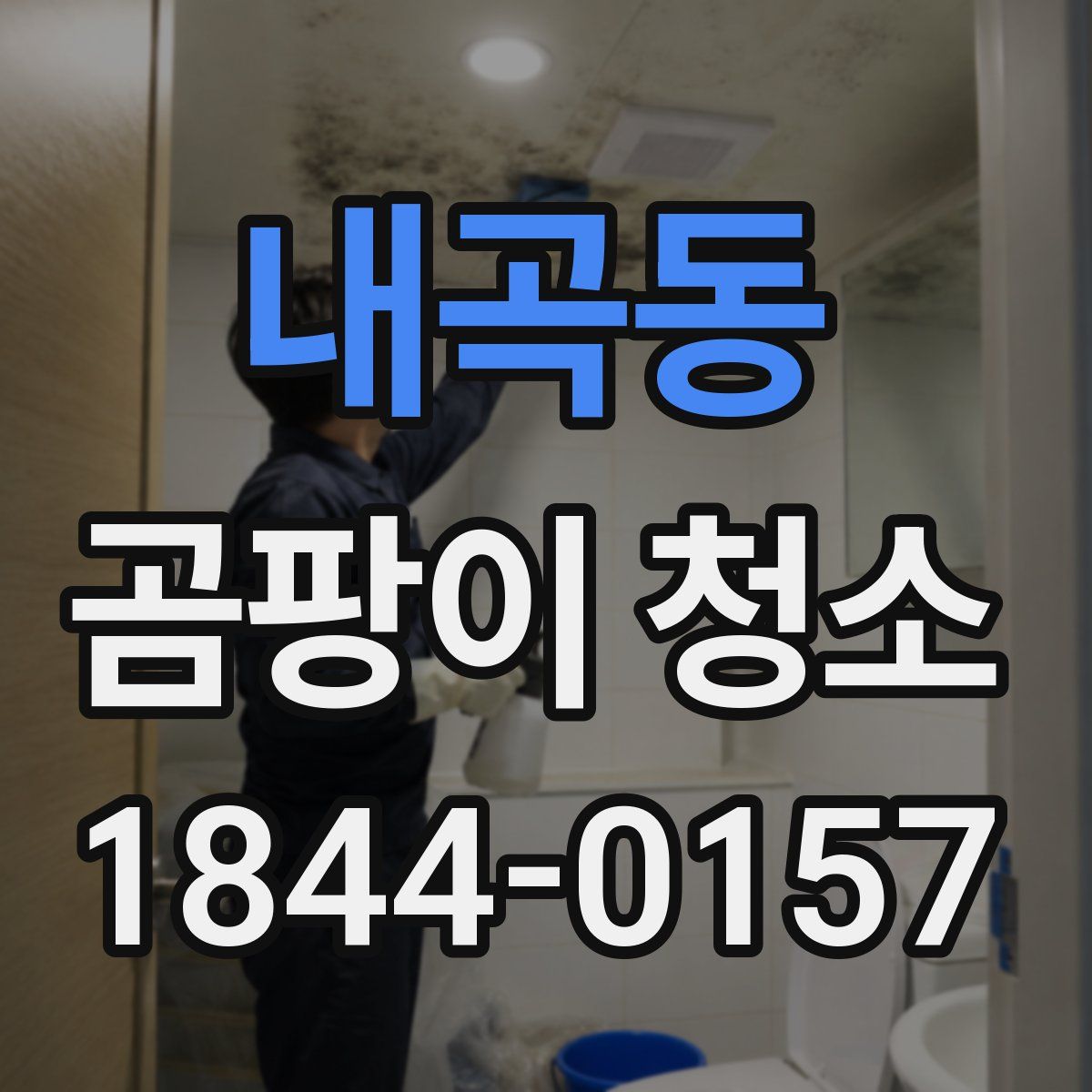 내곡동 곰팡이 청소