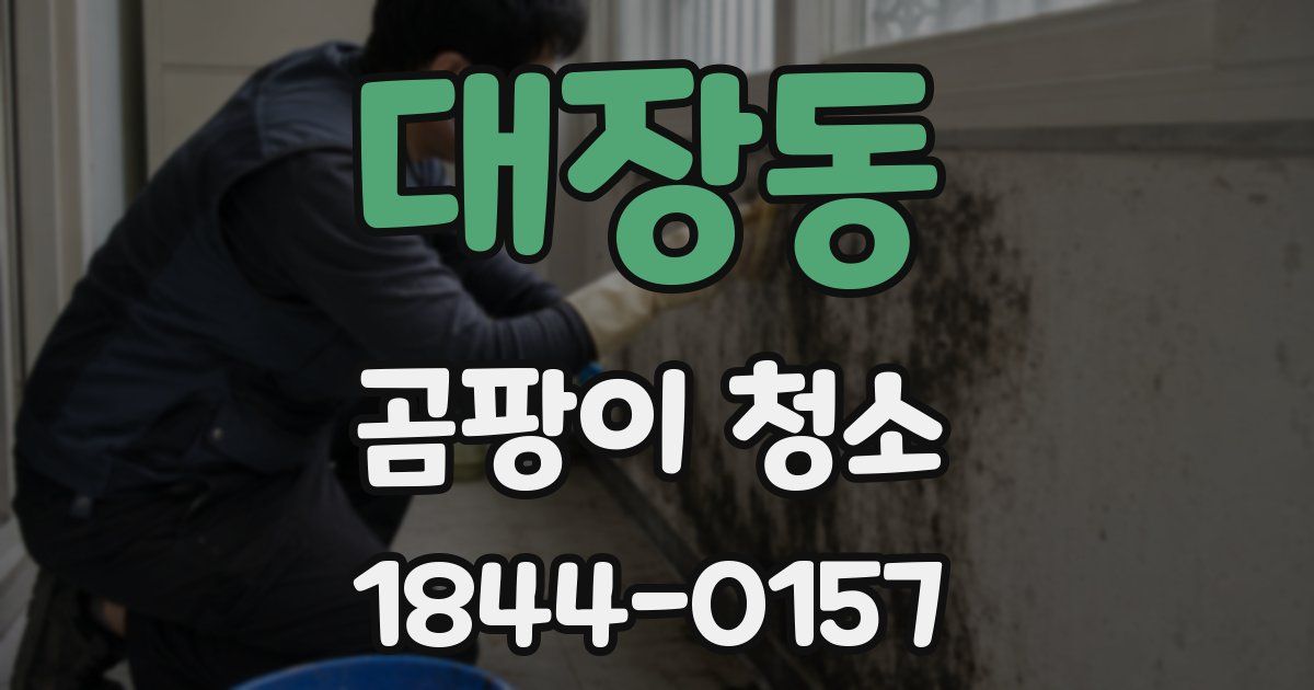 대장동 곰팡이 청소