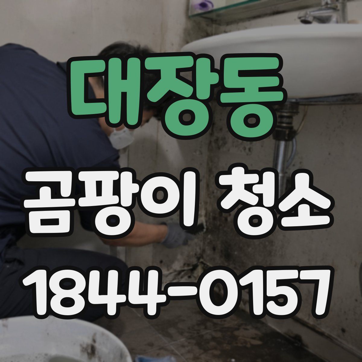대장동 곰팡이 청소
