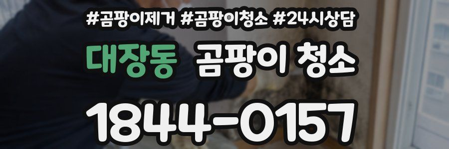 대장동 곰팡이 청소