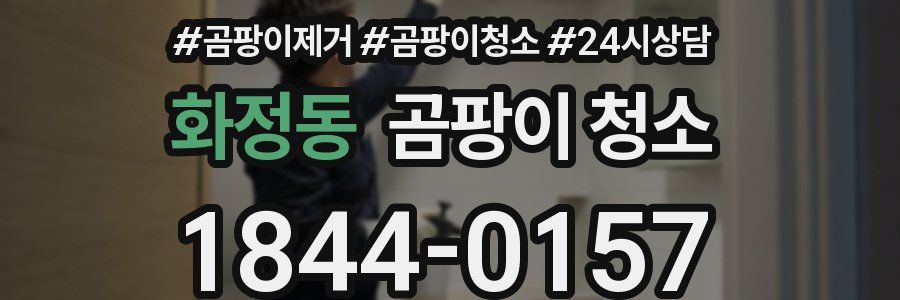 화정동 곰팡이 청소