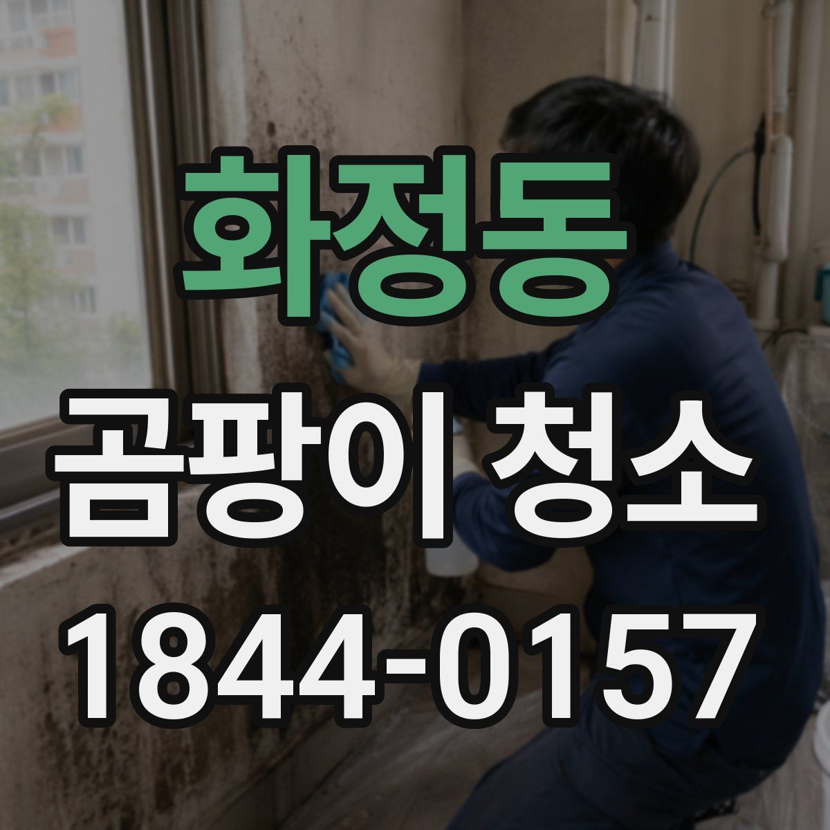 화정동 곰팡이 청소