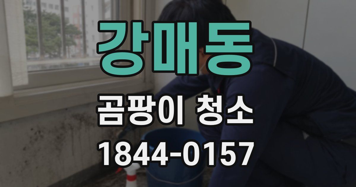 강매동 곰팡이 청소