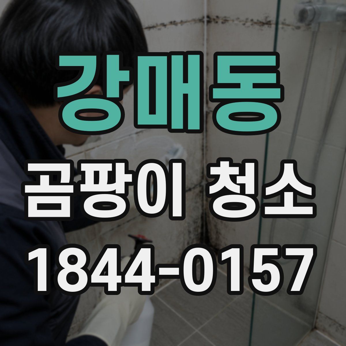 강매동 곰팡이 청소