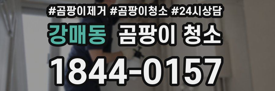 강매동 곰팡이 청소