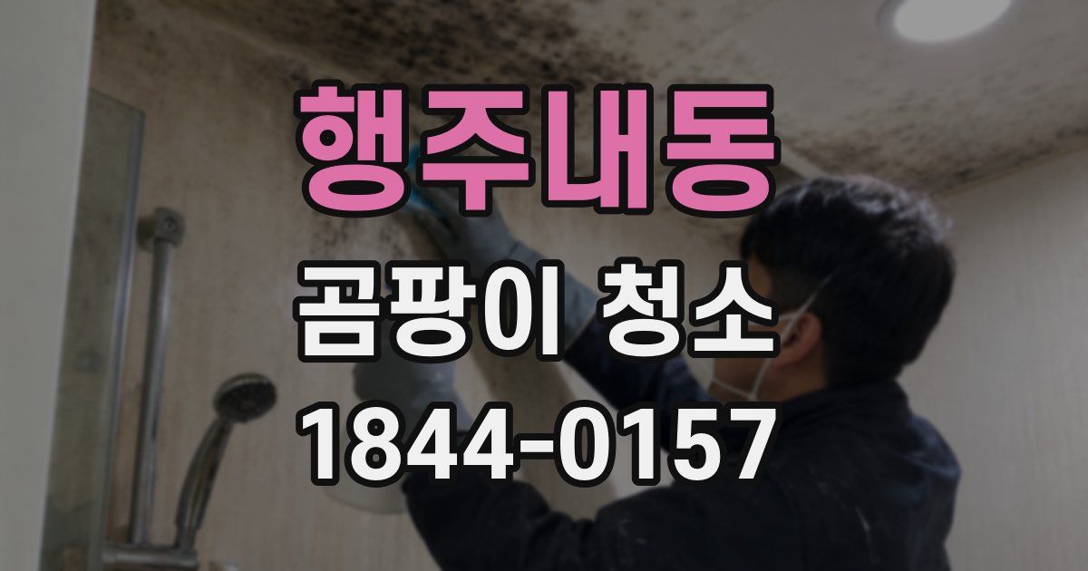 행주내동 곰팡이 청소