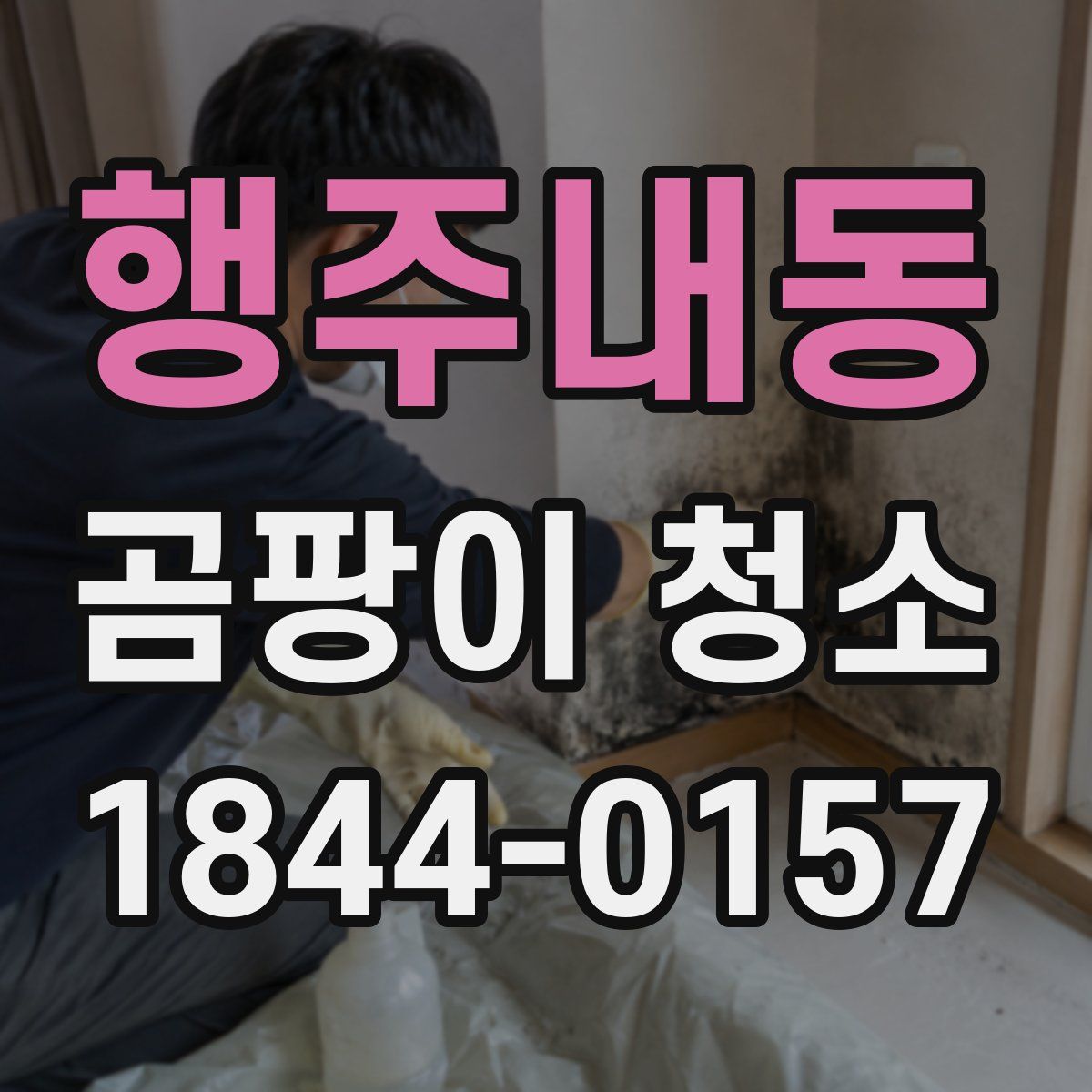 행주내동 곰팡이 청소