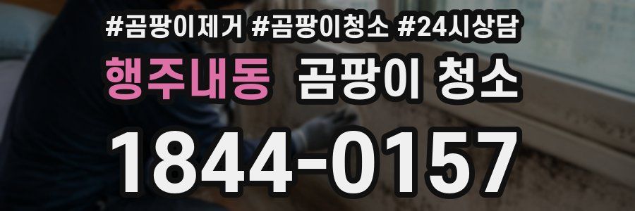 행주내동 곰팡이 청소