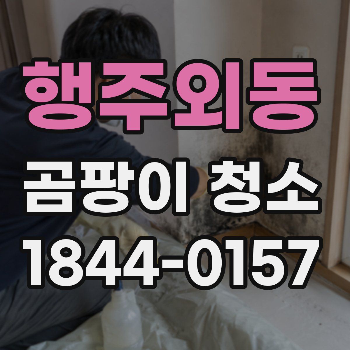 행주외동 곰팡이 청소