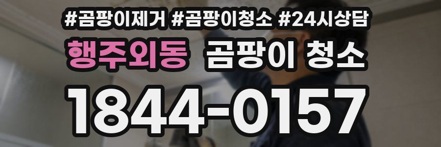 행주외동 곰팡이 청소