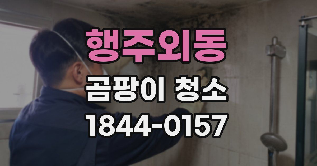 행주외동 곰팡이 청소