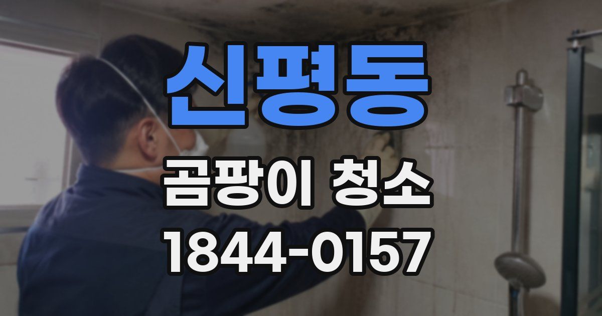 신평동 곰팡이 청소