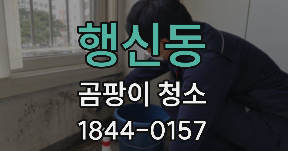 행신동 곰팡이 청소