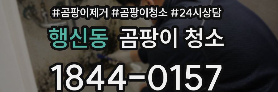행신동 곰팡이 청소