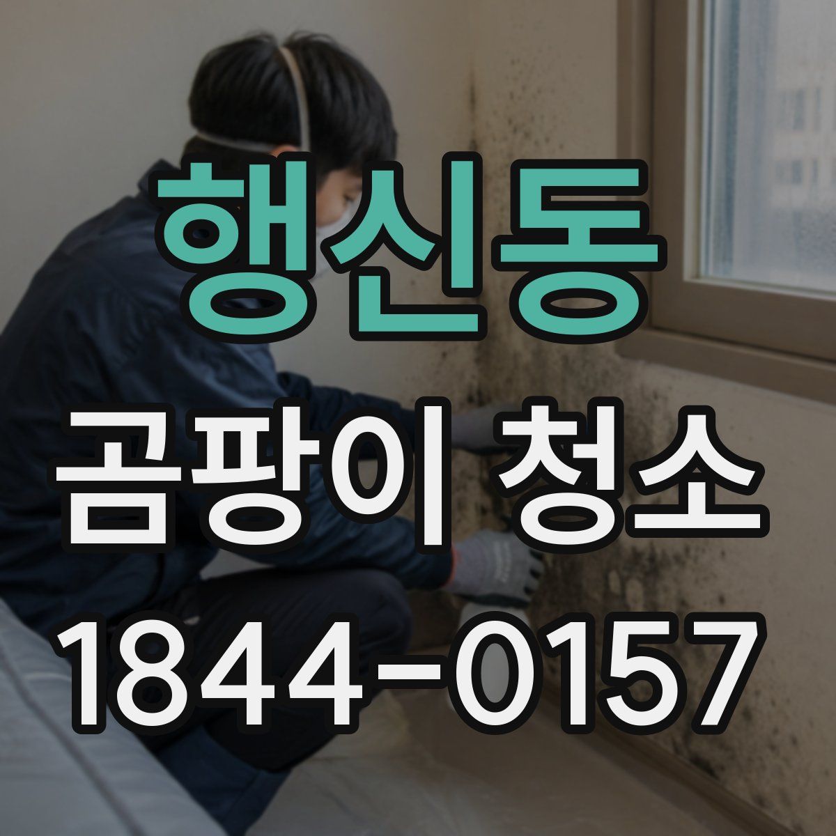 행신동 곰팡이 청소