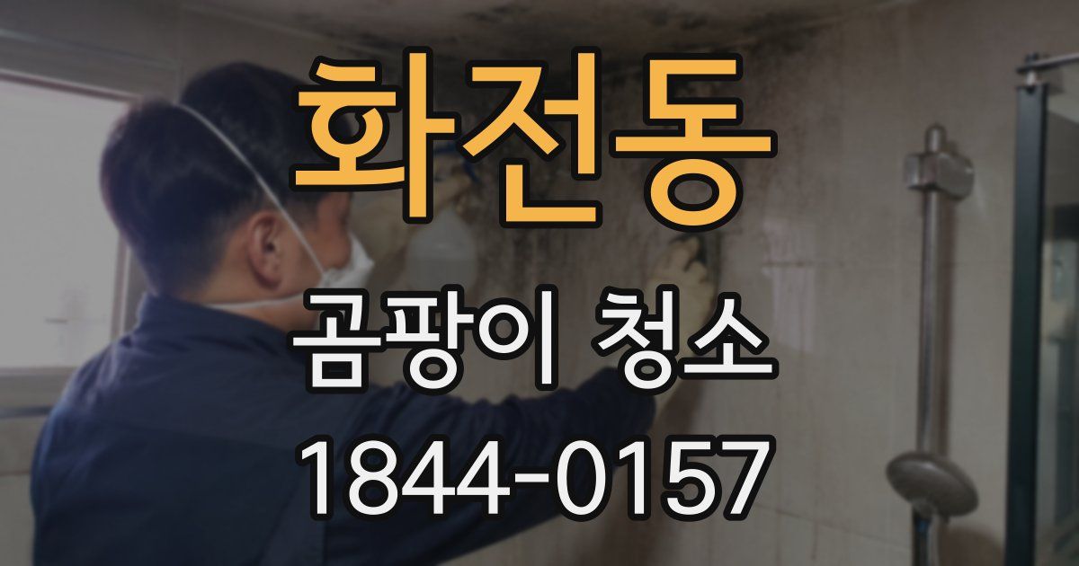 화전동 곰팡이 청소