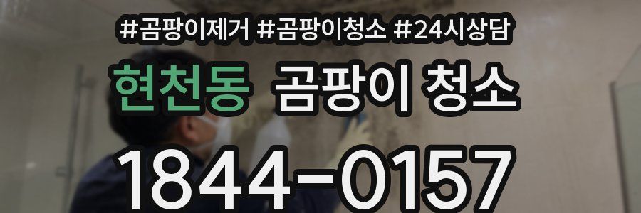 현천동 곰팡이 청소