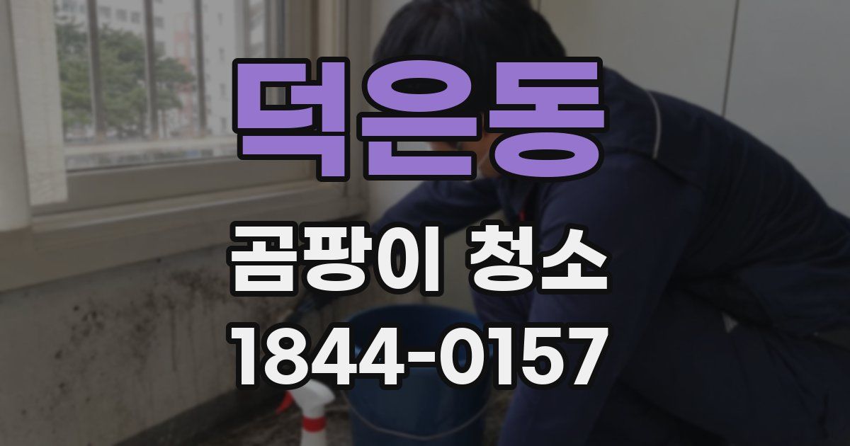 덕은동 곰팡이 청소