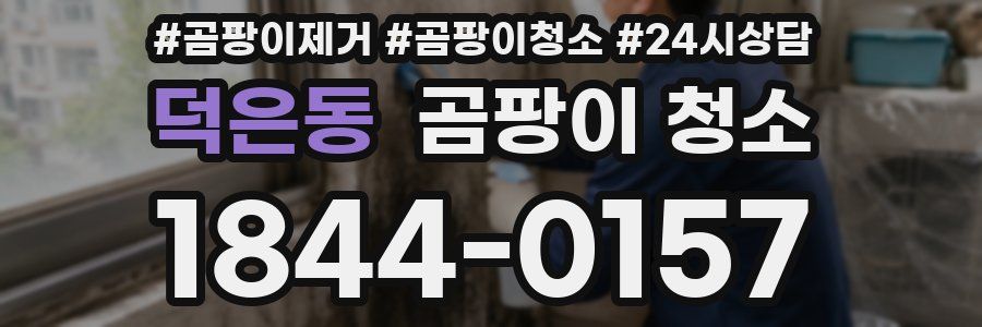 덕은동 곰팡이 청소