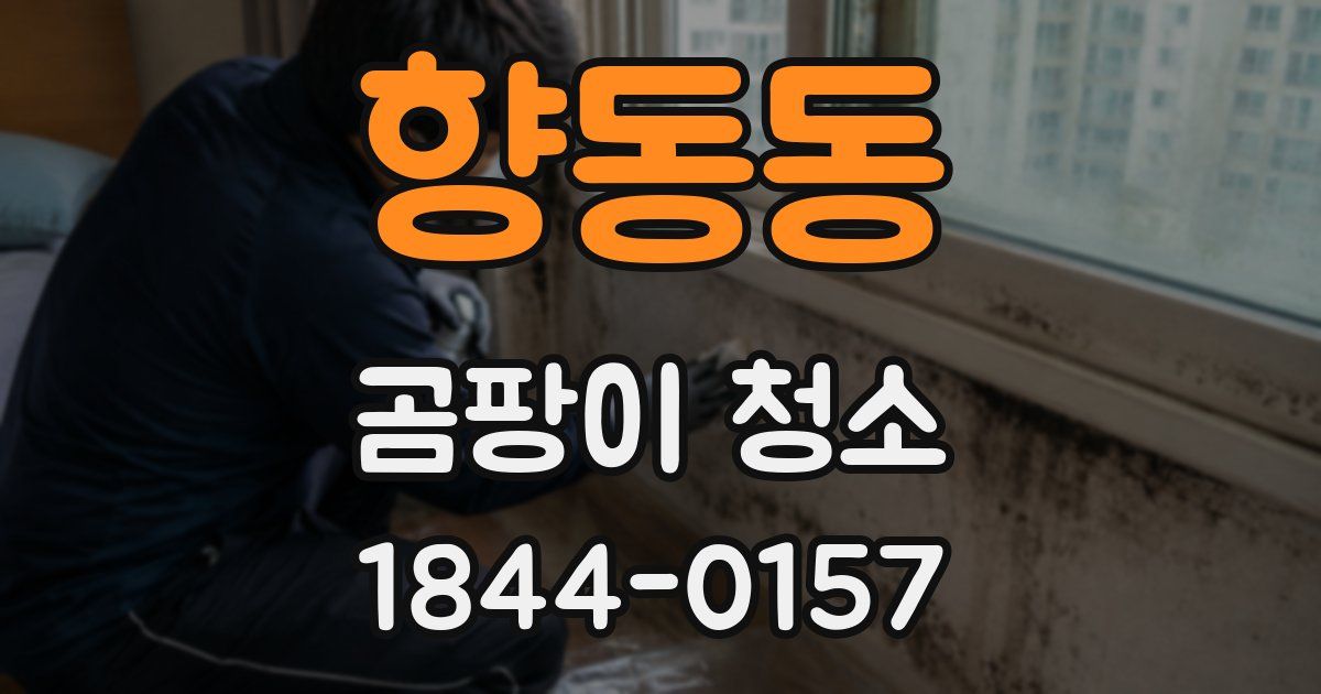 향동동 곰팡이 청소