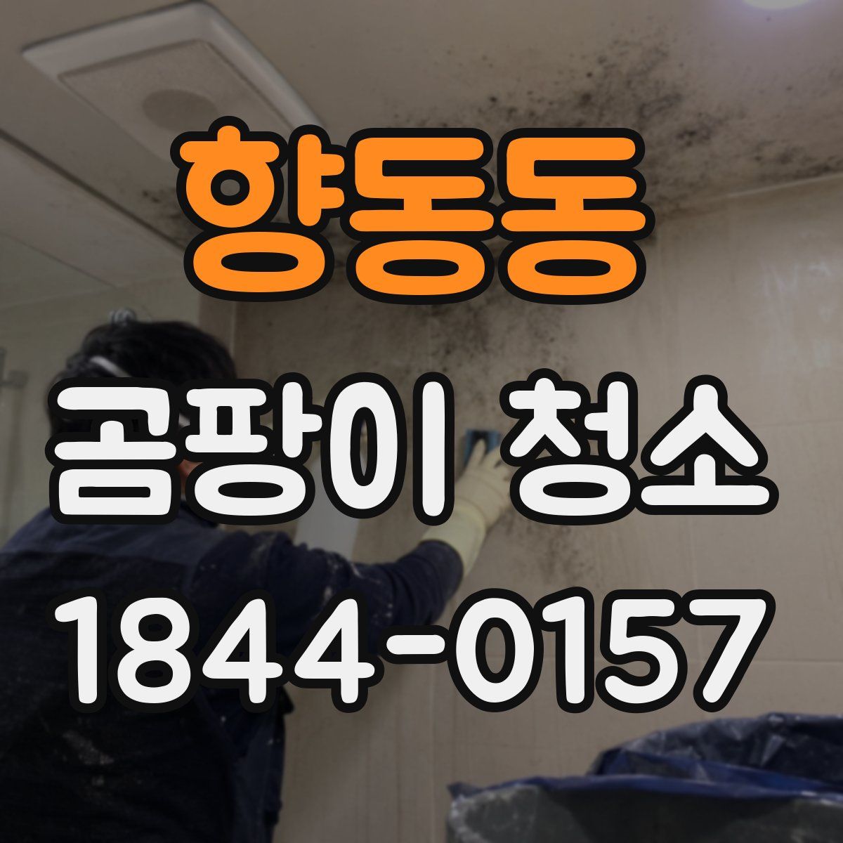 향동동 곰팡이 청소