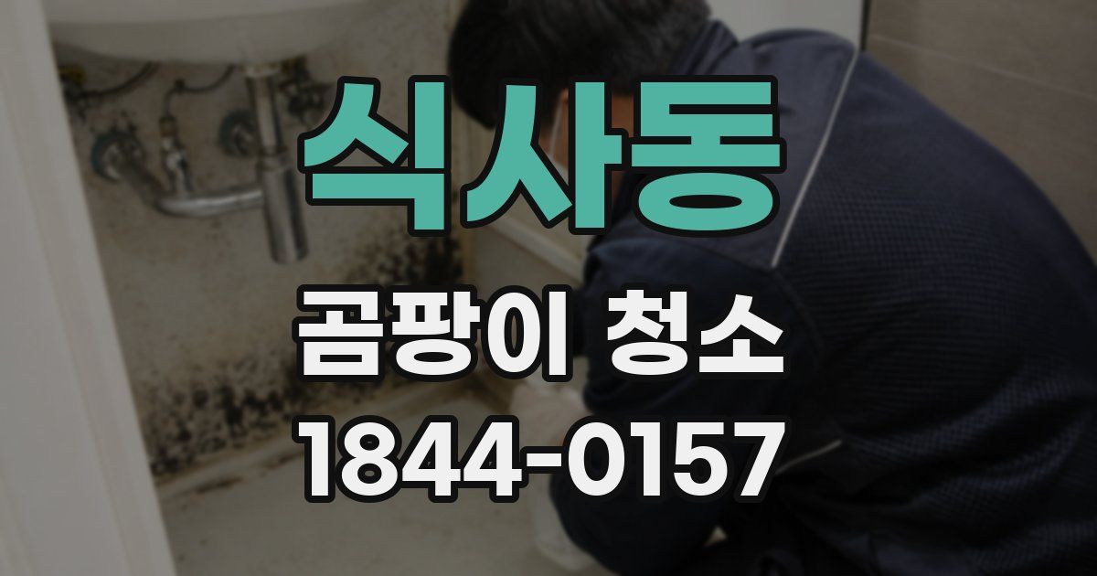 식사동 곰팡이 청소